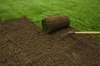 Sod and Artificial Grass Installation